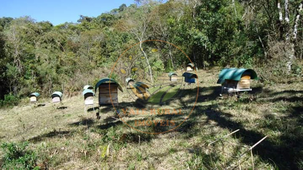 Haras e Área Rural Padrão à venda - Foto 32