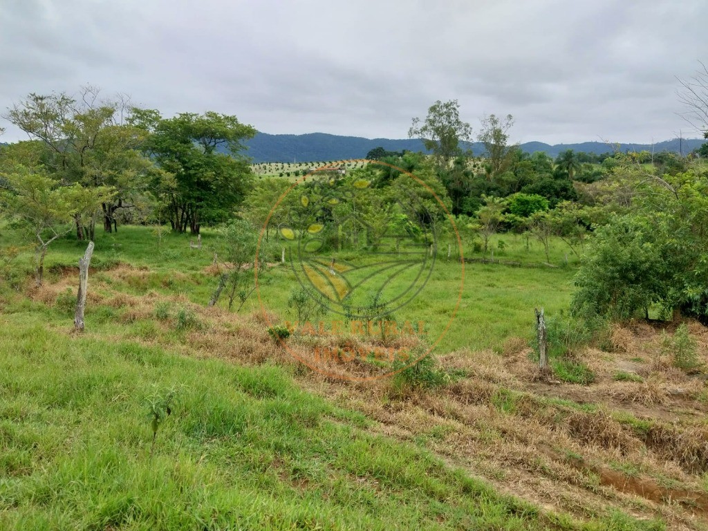 Fazenda à venda com 5 quartos, 11m² - Foto 33