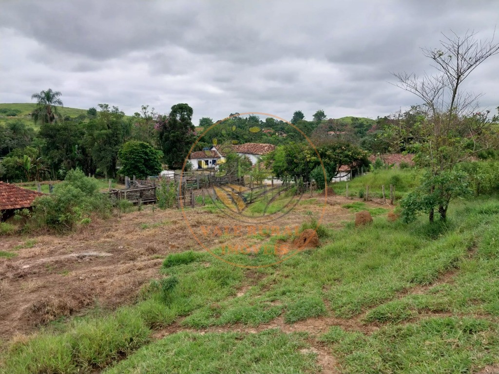 Fazenda à venda com 5 quartos, 11m² - Foto 35