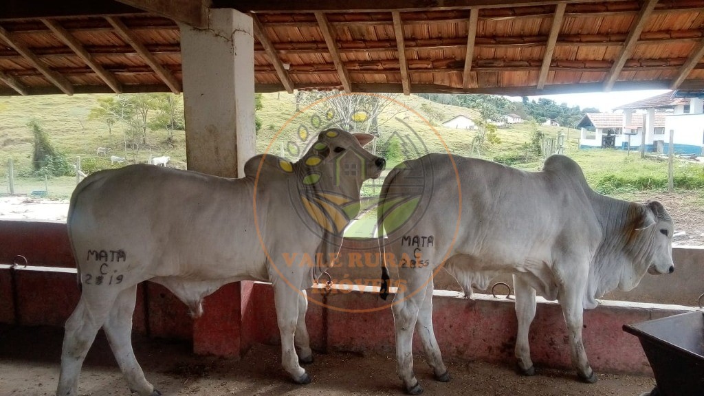 Fazenda à venda com 2 quartos, 88m² - Foto 26