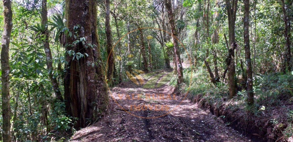 Haras e Área Rural Padrão à venda - Foto 40