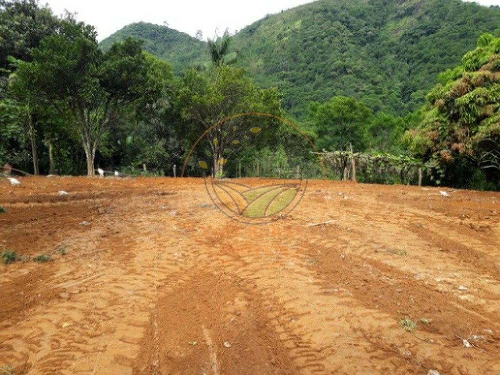 Haras e Área Rural Padrão à venda - Foto 17