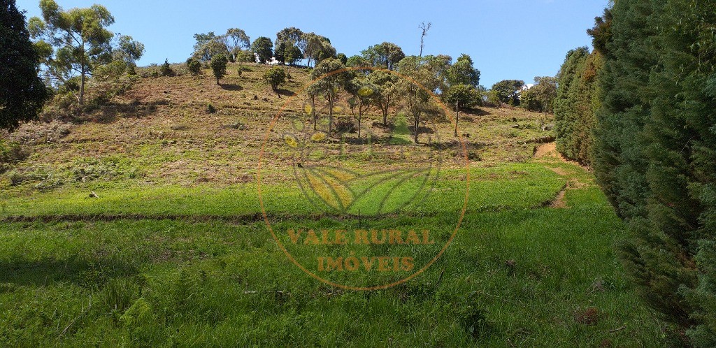 Haras e Área Rural Padrão à venda - Foto 30