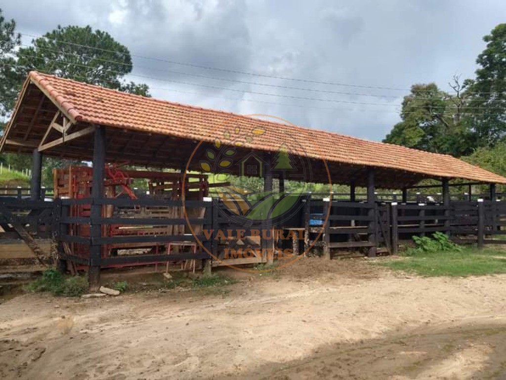 Fazenda à venda com 2 quartos, 88m² - Foto 11