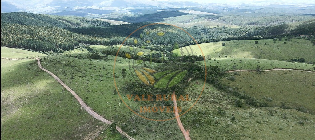 Haras e Área Rural Padrão à venda, 180m² - Foto 7