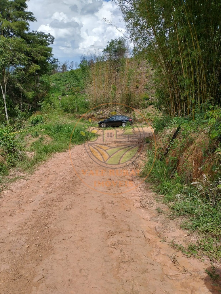 Haras e Área Rural Padrão à venda - Foto 4