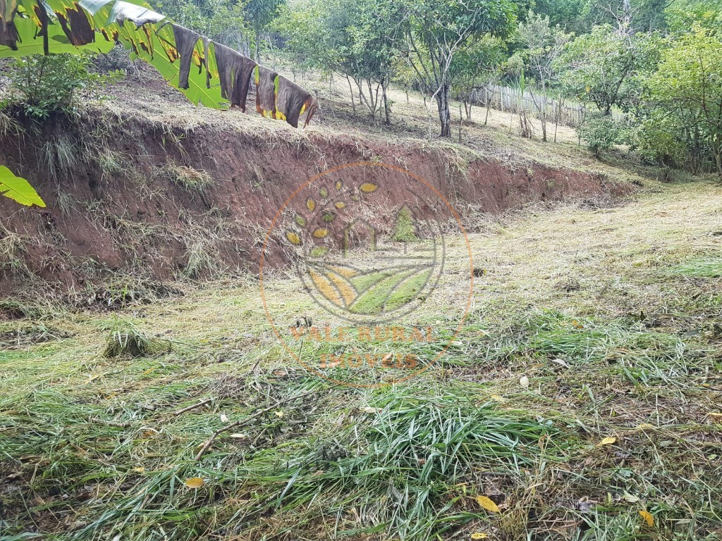 Haras e Área Rural Padrão à venda - Foto 1