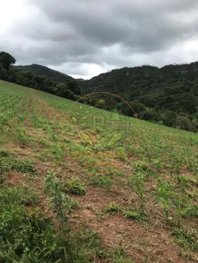 Fazenda à venda com 3 quartos, 146m² - Foto 2