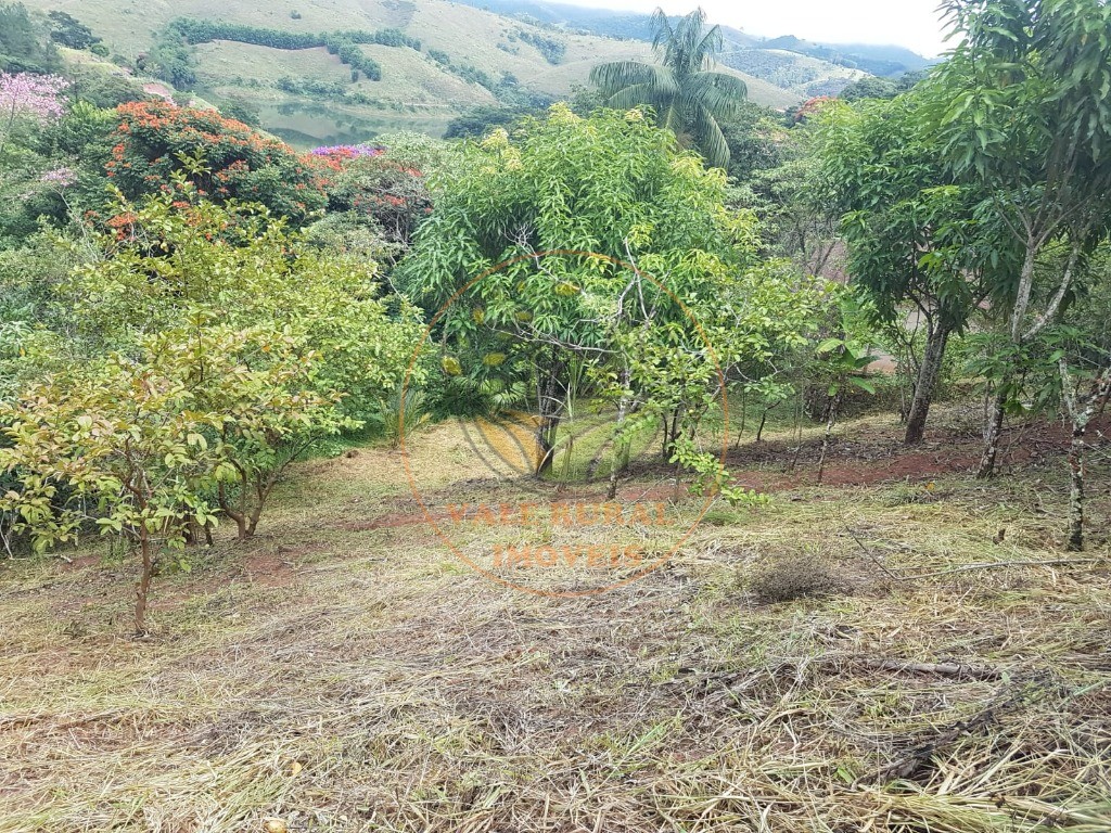 Haras e Área Rural Padrão à venda - Foto 11