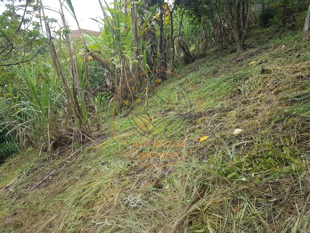 Haras e Área Rural Padrão à venda - Foto 4