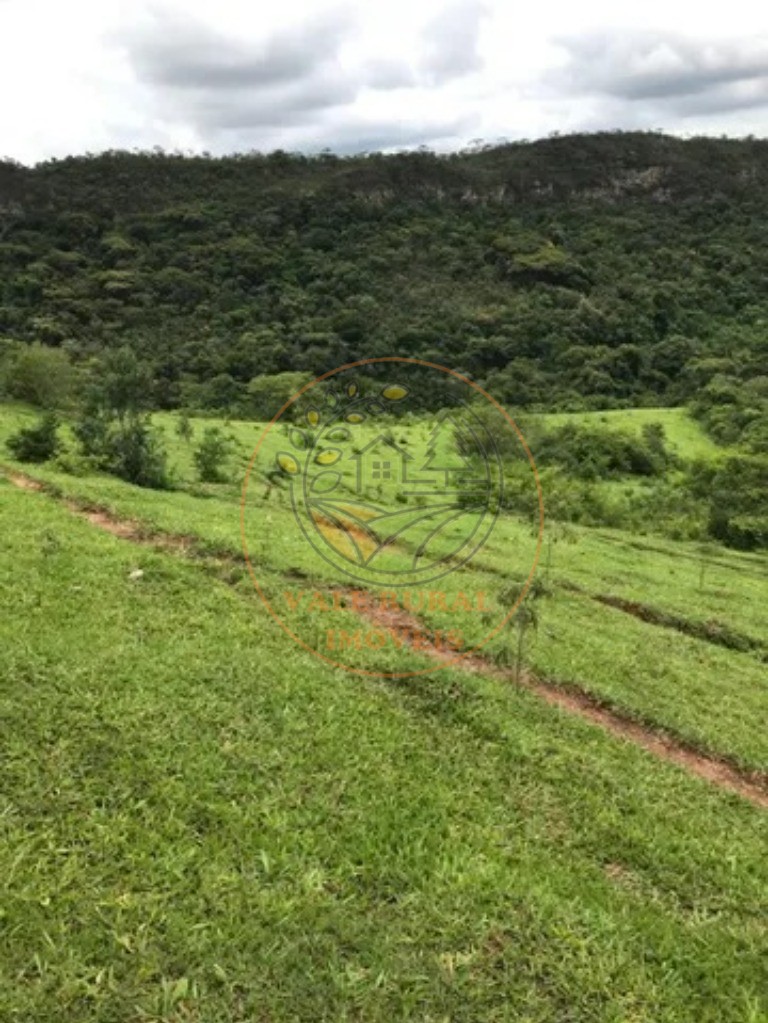 Fazenda à venda com 3 quartos, 146m² - Foto 7