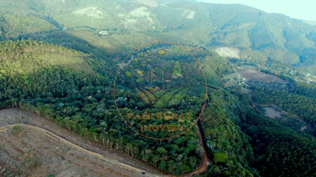 Haras e Área Rural Padrão à venda - Foto 2