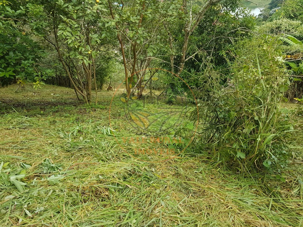 Haras e Área Rural Padrão à venda - Foto 6