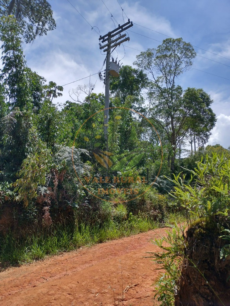 Haras e Área Rural Padrão à venda - Foto 5