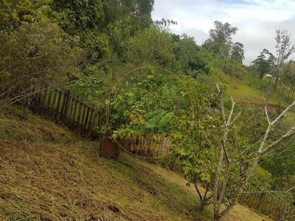 Haras e Área Rural Padrão à venda - Foto 2