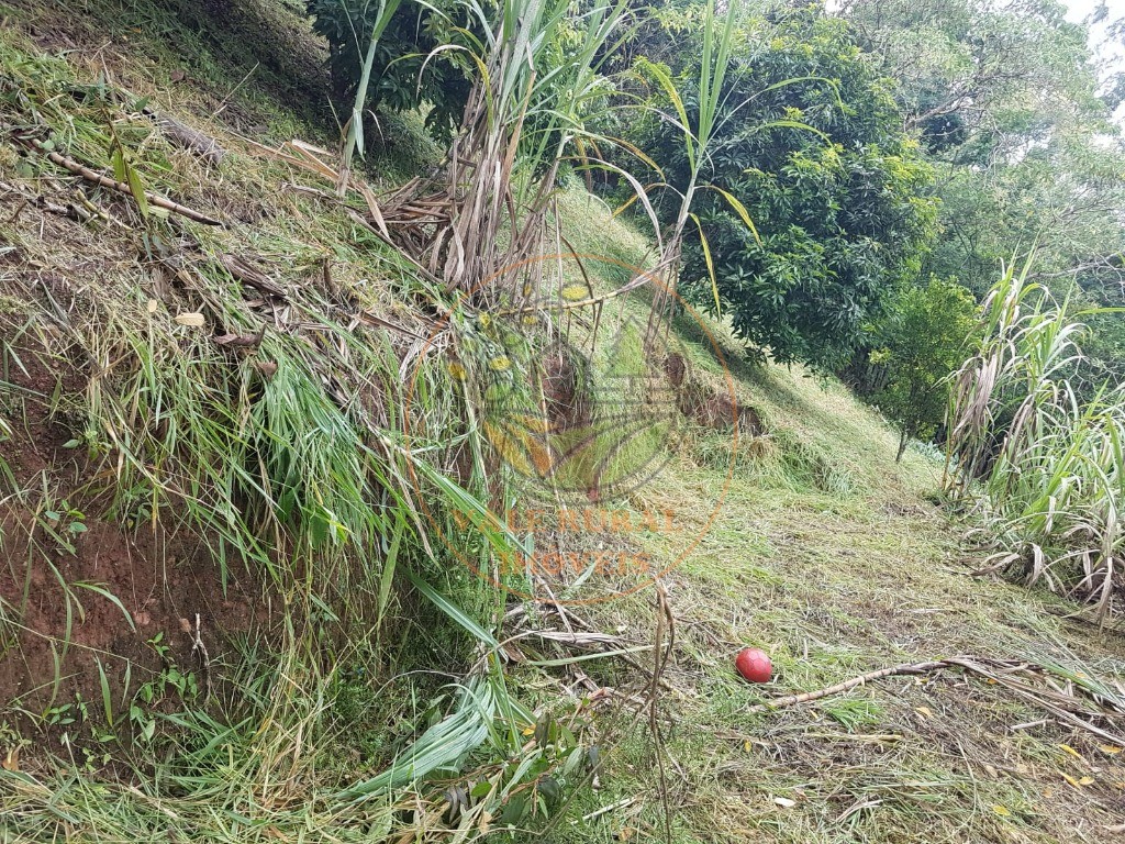 Haras e Área Rural Padrão à venda - Foto 9