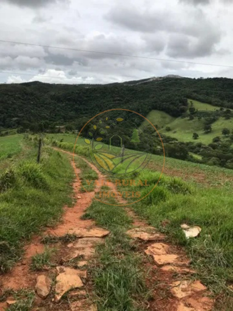 Fazenda à venda com 3 quartos, 146m² - Foto 19