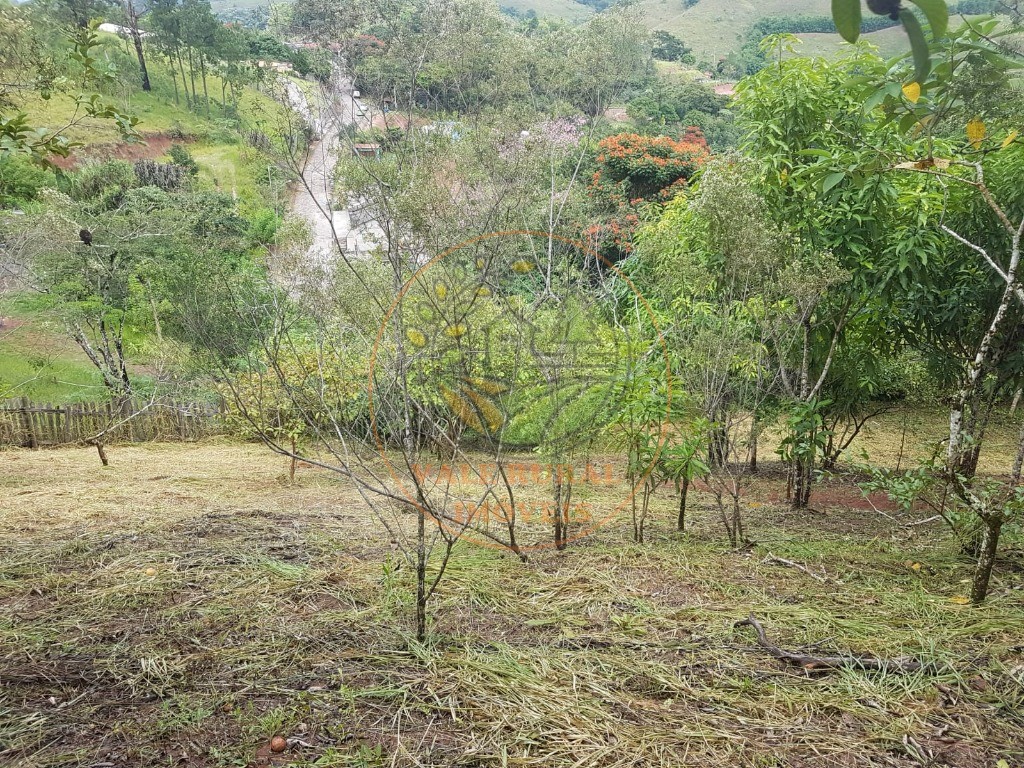 Haras e Área Rural Padrão à venda - Foto 8