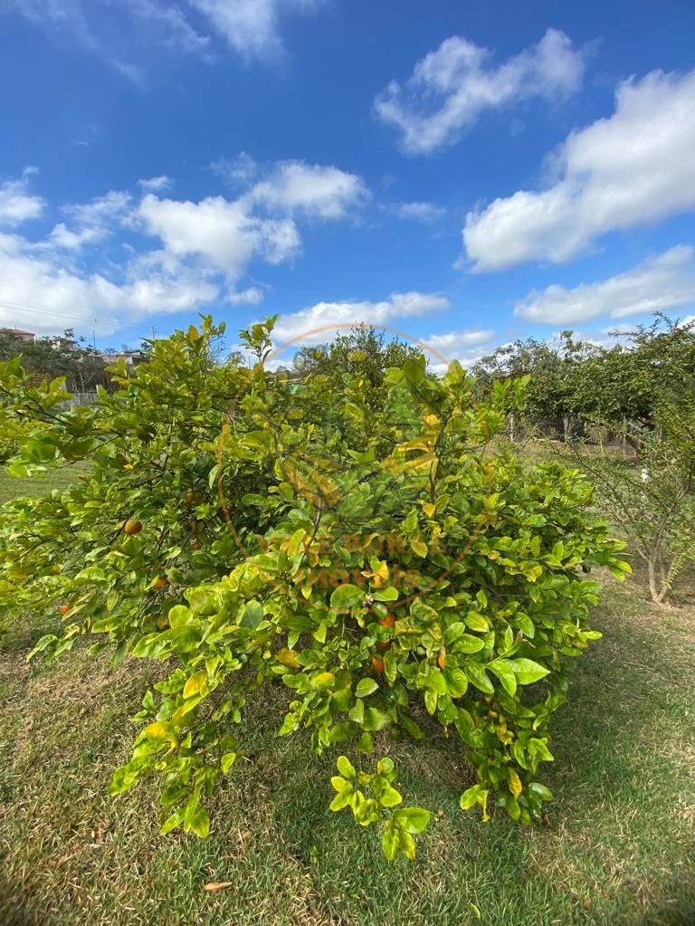 Chácara à venda com 4 quartos, 3100m² - Foto 16