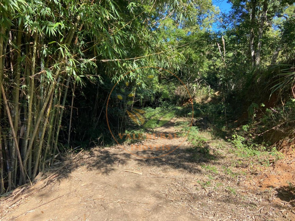 Haras e Área Rural Padrão à venda - Foto 4