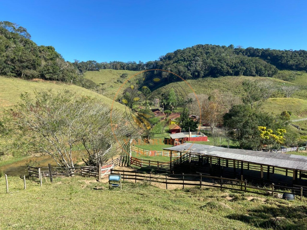 Fazenda à venda com 3 quartos, 36m² - Foto 11