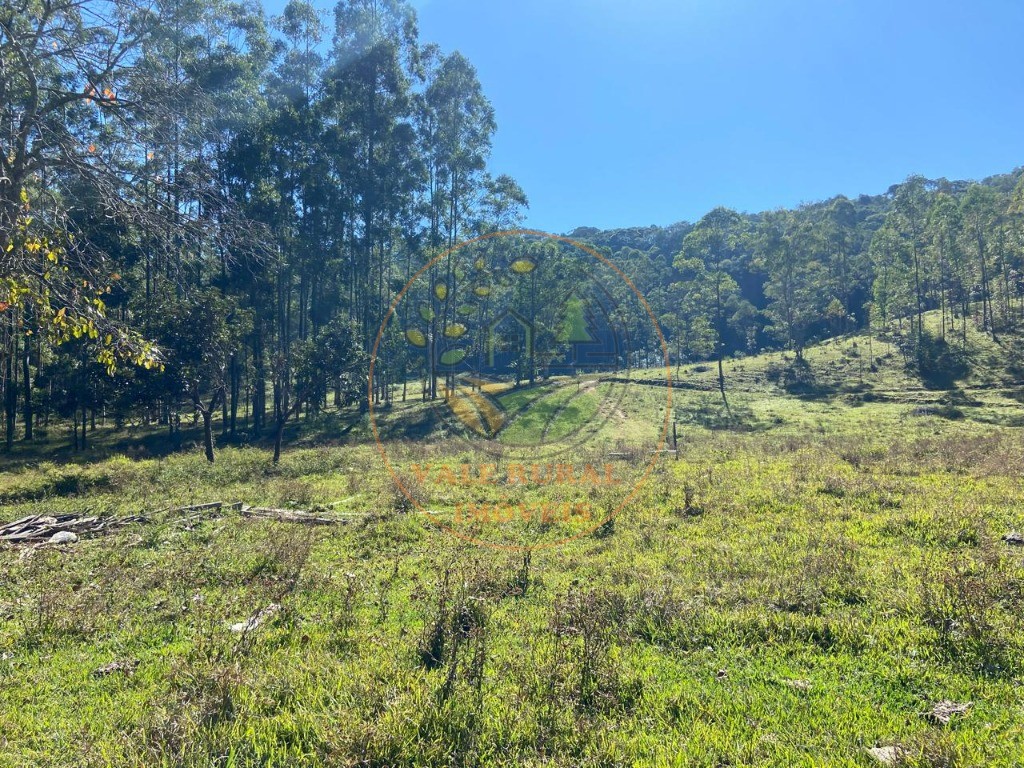 Fazenda à venda com 3 quartos, 36m² - Foto 51