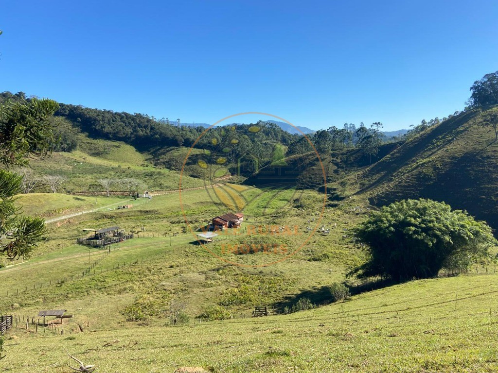 Fazenda à venda com 3 quartos, 36m² - Foto 27