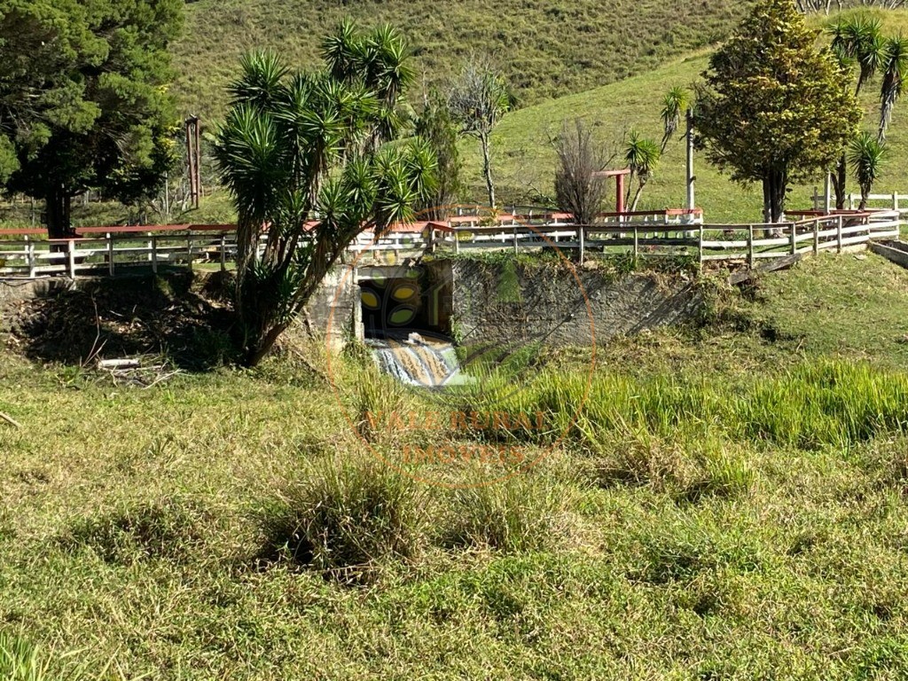 Fazenda à venda com 3 quartos, 36m² - Foto 58