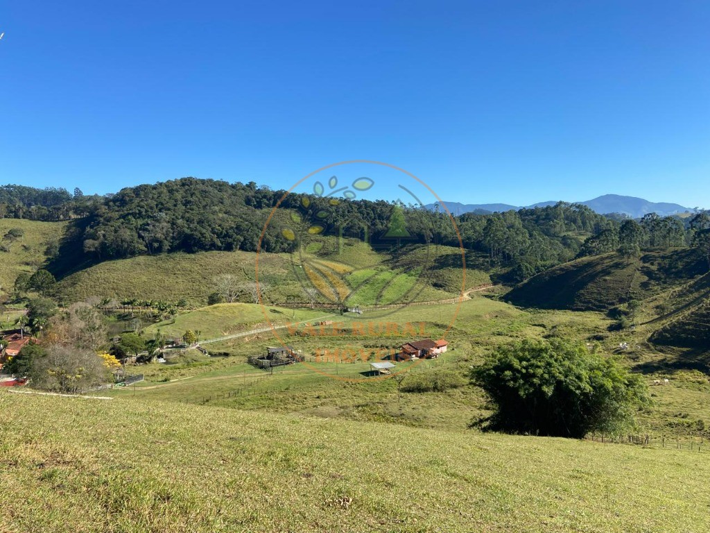 Fazenda à venda com 3 quartos, 36m² - Foto 42