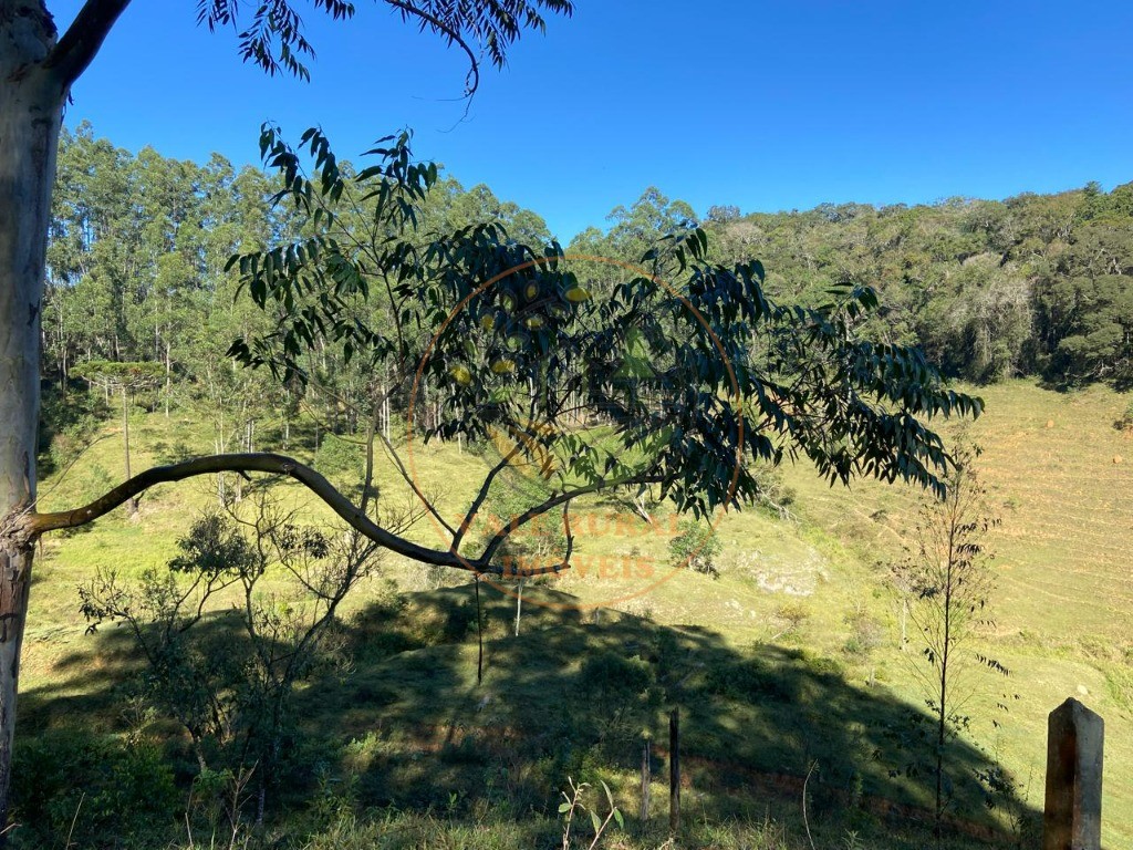 Fazenda à venda com 3 quartos, 36m² - Foto 45