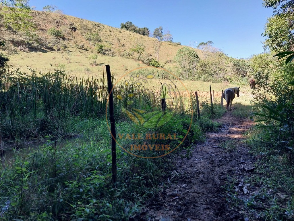 Haras e Área Rural Padrão à venda - Foto 13