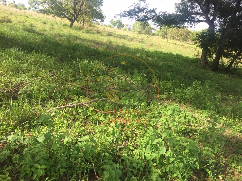 Fazenda à venda com 4 quartos - Foto 5