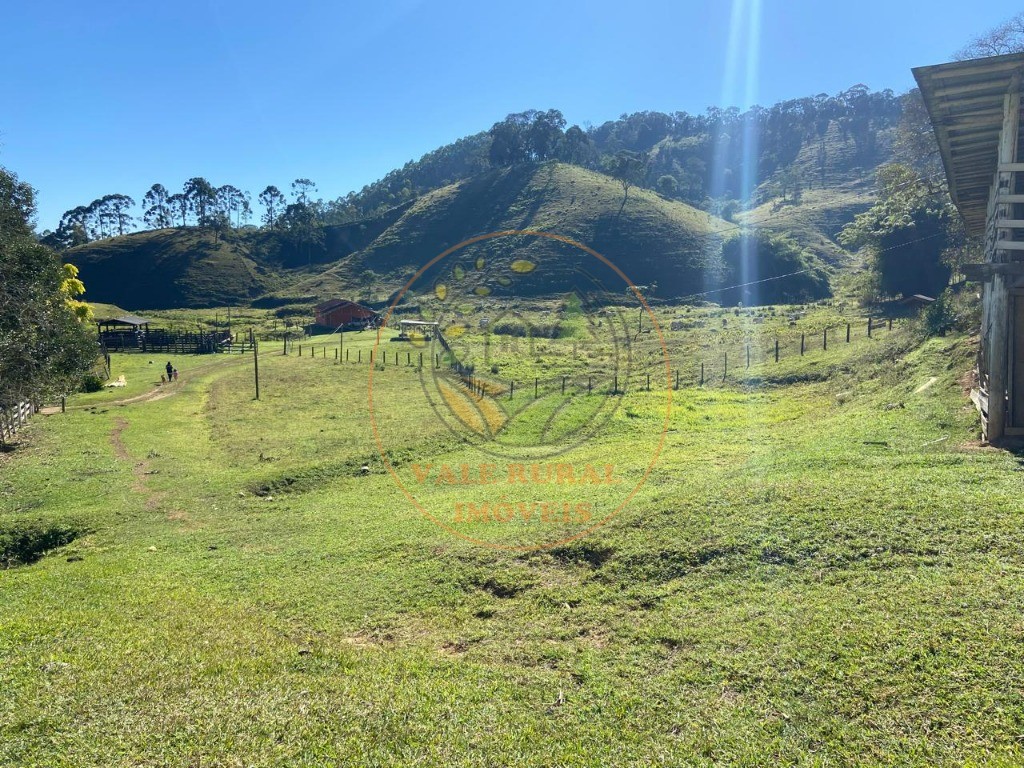 Fazenda à venda com 3 quartos, 36m² - Foto 38