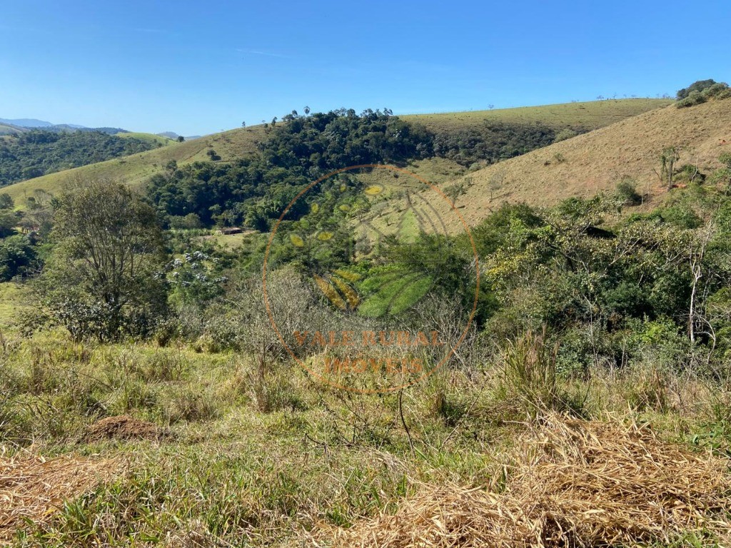 Haras e Área Rural Padrão à venda - Foto 7