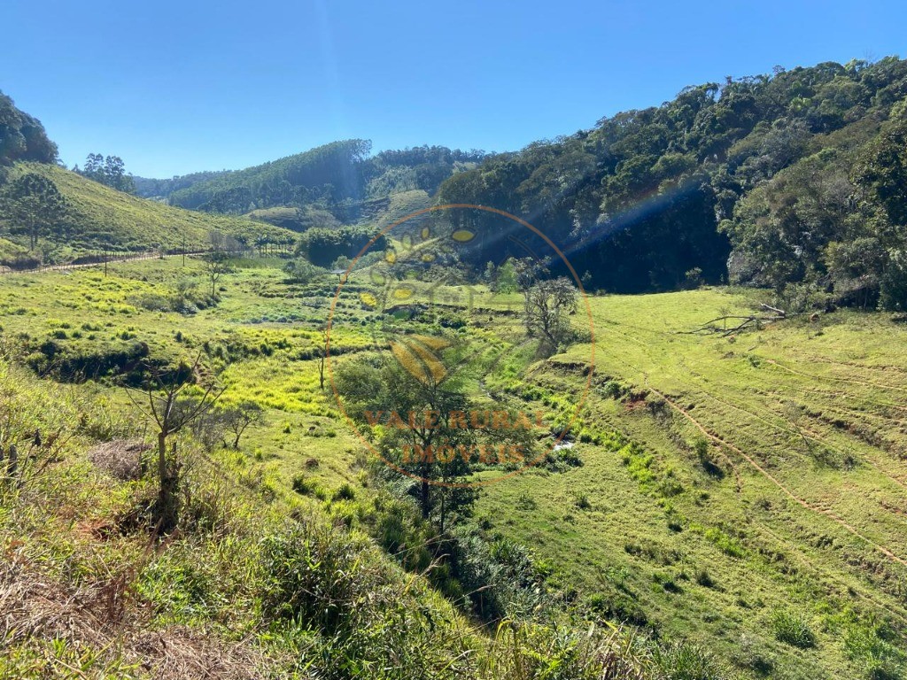 Fazenda à venda com 3 quartos, 36m² - Foto 55