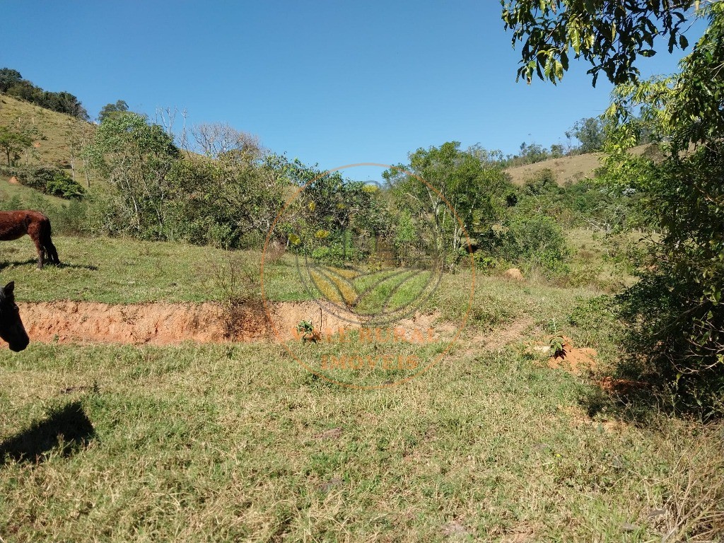 Haras e Área Rural Padrão à venda - Foto 6