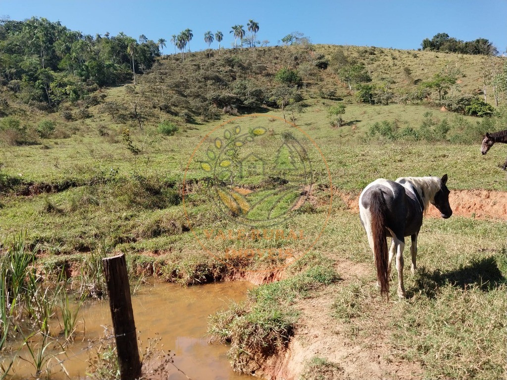 Haras e Área Rural Padrão à venda - Foto 7