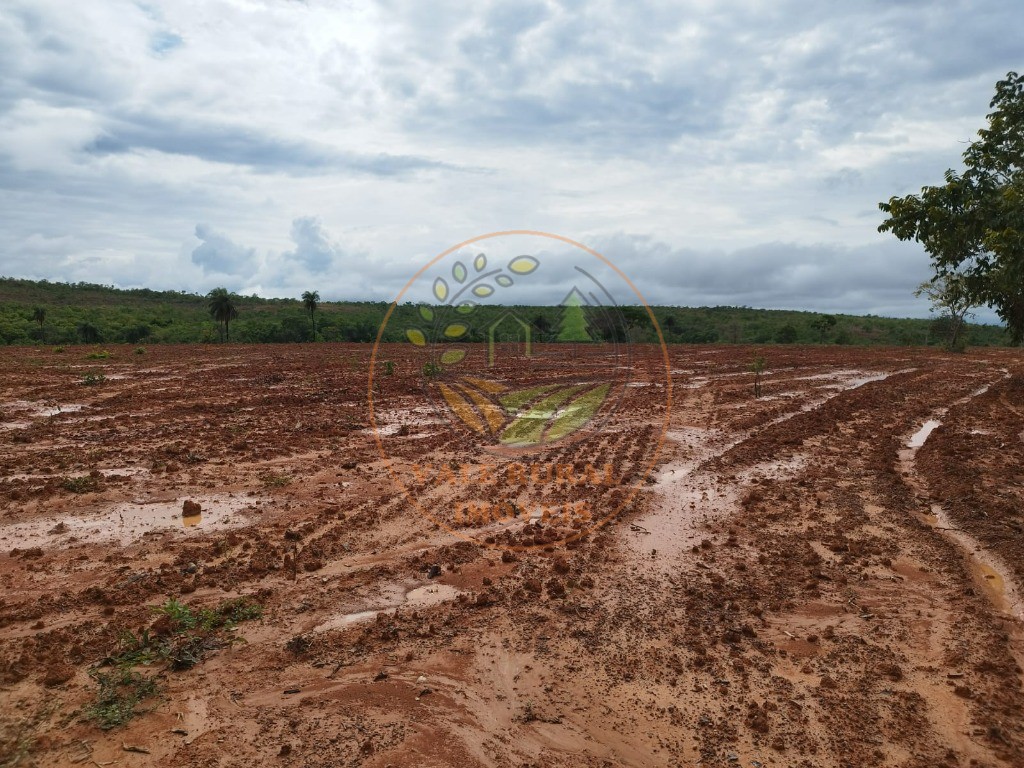 Fazenda à venda com 2 quartos, 576m² - Foto 9