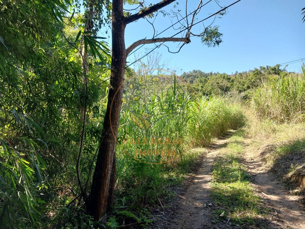 Haras e Área Rural Padrão à venda - Foto 5