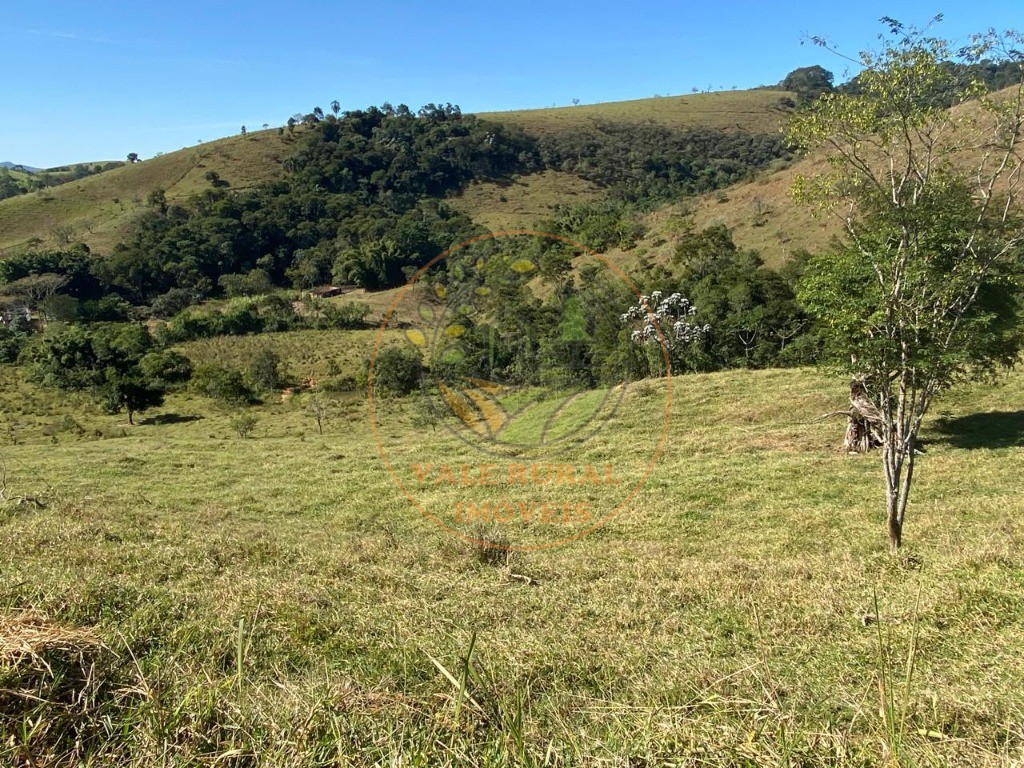 Haras e Área Rural Padrão à venda - Foto 13