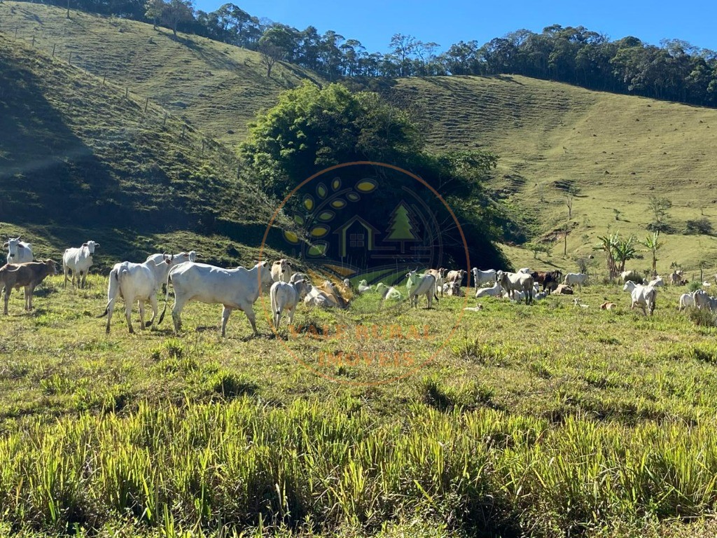 Fazenda à venda com 3 quartos, 36m² - Foto 22