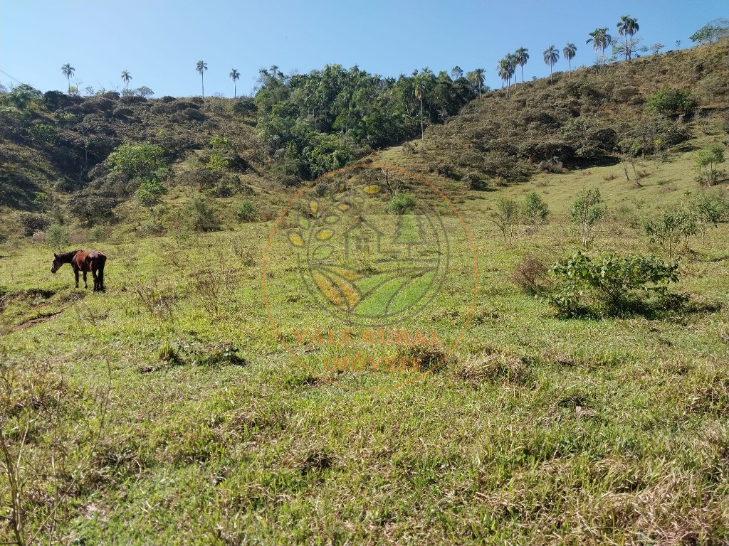 Haras e Área Rural Padrão à venda - Foto 10