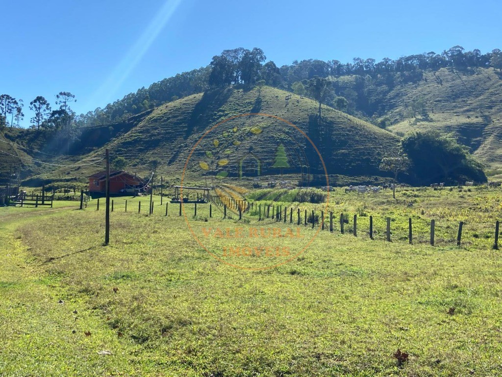 Fazenda à venda com 3 quartos, 36m² - Foto 48