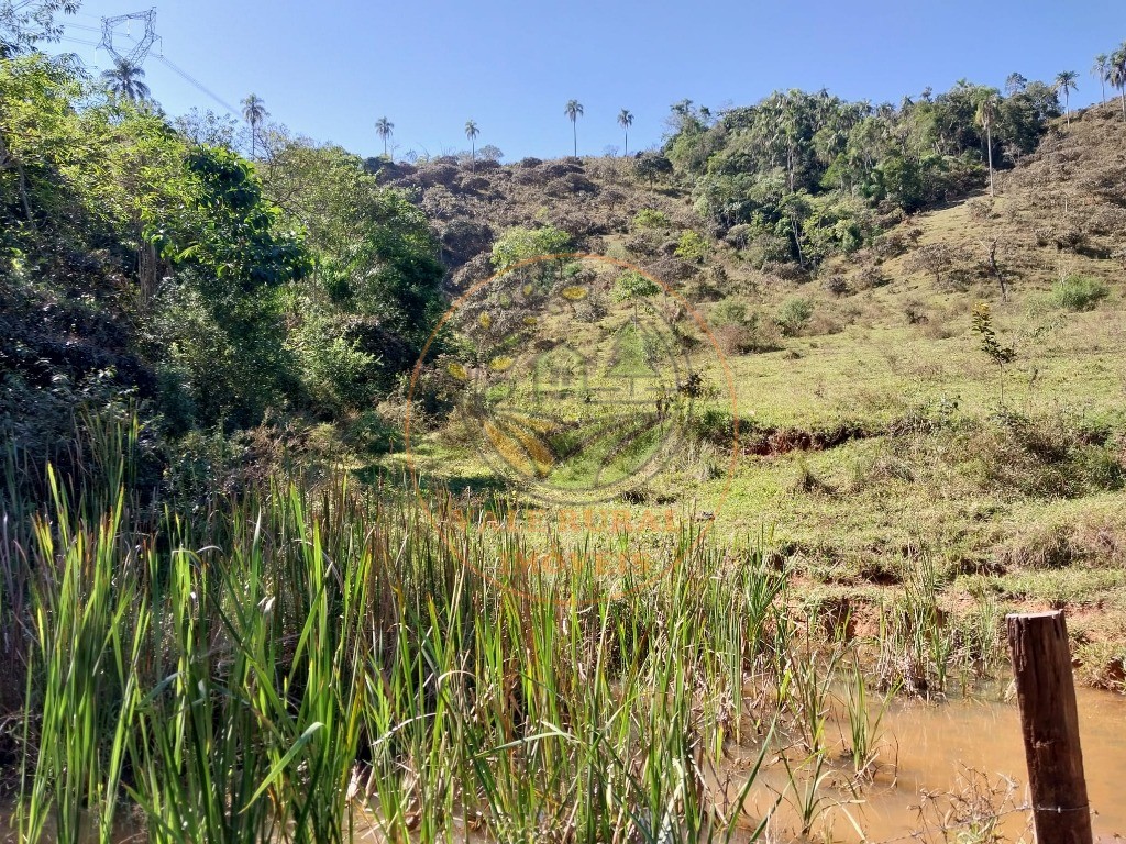 Haras e Área Rural Padrão à venda - Foto 12