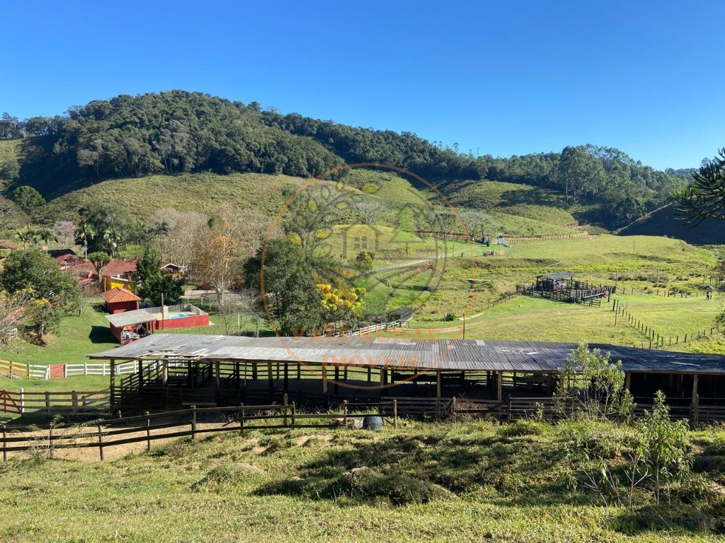 Fazenda à venda com 3 quartos, 36m² - Foto 10