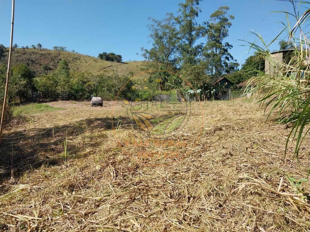 Haras e Área Rural Padrão à venda - Foto 24