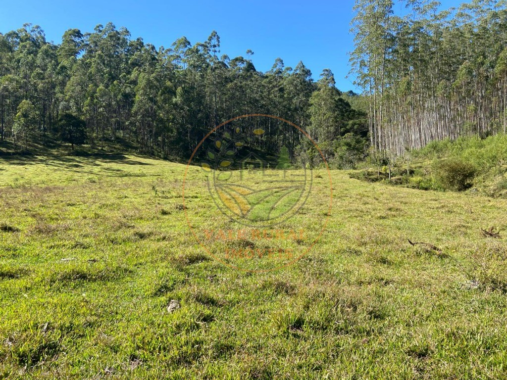 Fazenda à venda com 3 quartos, 36m² - Foto 52