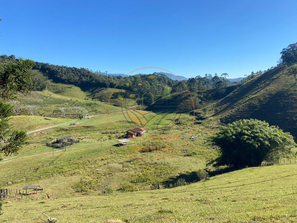 Fazenda à venda com 3 quartos, 36m² - Foto 40