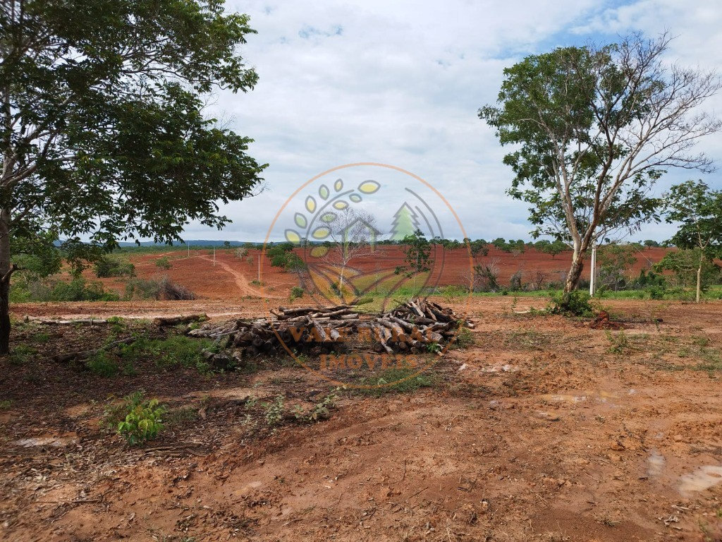 Fazenda à venda com 2 quartos, 576m² - Foto 8