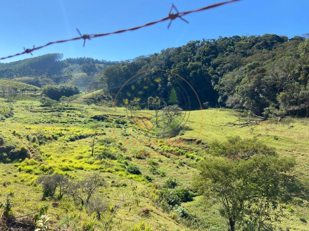 Fazenda à venda com 3 quartos, 36m² - Foto 54